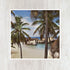 5x5 Hidden Bay Palm Trees Art Print